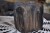 IMG_2977.jpeg