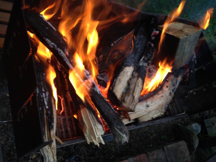 IMG_2990.jpeg