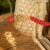 IMG_1485.jpeg